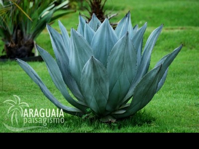 20100228112553_15.jpg